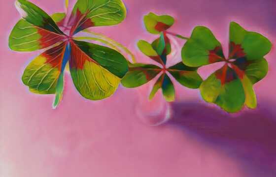 Tentoonstelling Bloemen