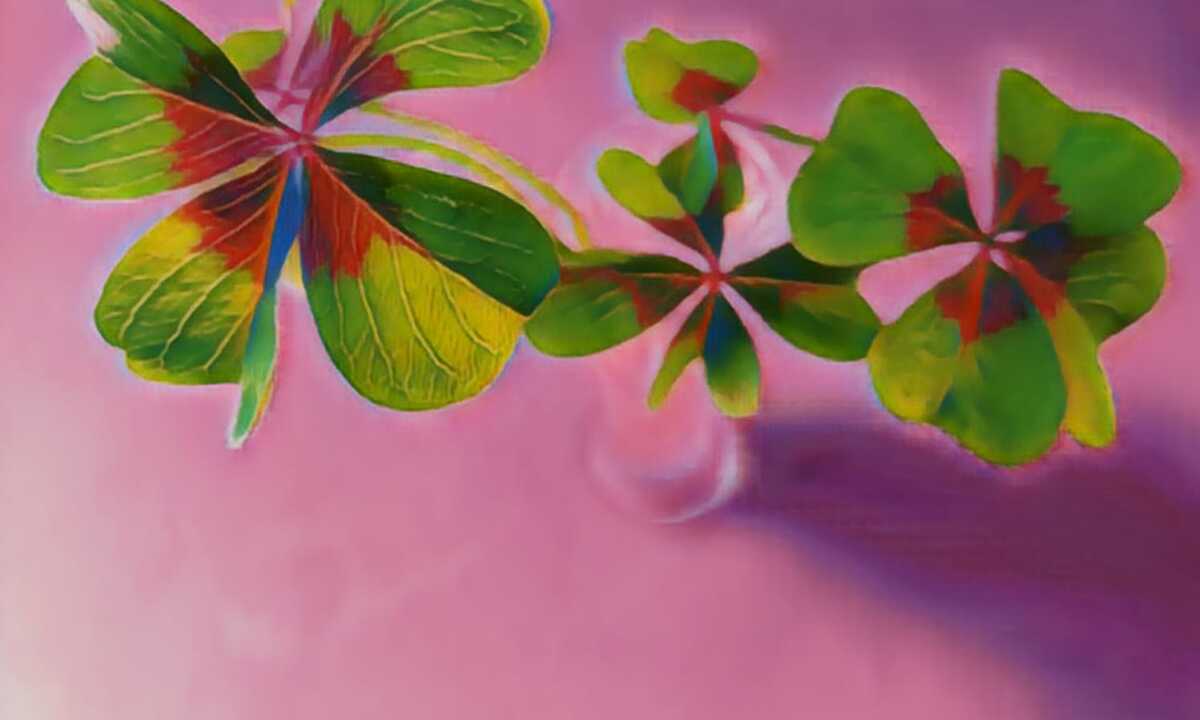 Tentoonstelling Bloemen